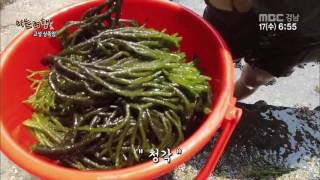 생방송 경남아 사랑해 아는 여행 2016 08 17