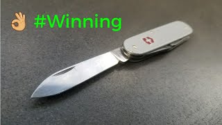 Victorinox Cadet Review - Best edc ever? - You should already own it.