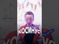 Почему косинус тупого угла отрицателен? #математика #огэ #экзамены #фоксфорд