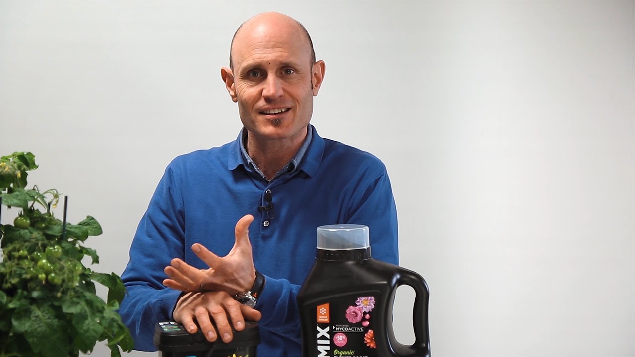 Quel type d'engrais utiliser pour vos plantes, légumes et fleurs?