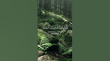 تلاوة جميلة جداً من القارئ ياسر الدوسري #relaxing #اكسبلور #ayathulkursi #ayatulkursi #راحة_نفسية