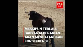 Pertemuan Yang Mengejutkan Antara Seekor Banteng Ganas Dan Seorang Pria Di Spanyol