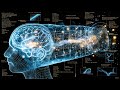 Quantum Consciousness Theory – How Your Brain Connects to the Universe | Sleepy Physicist