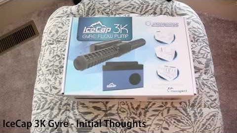 IceCap 3K Gyre running in Biocube 32 LED