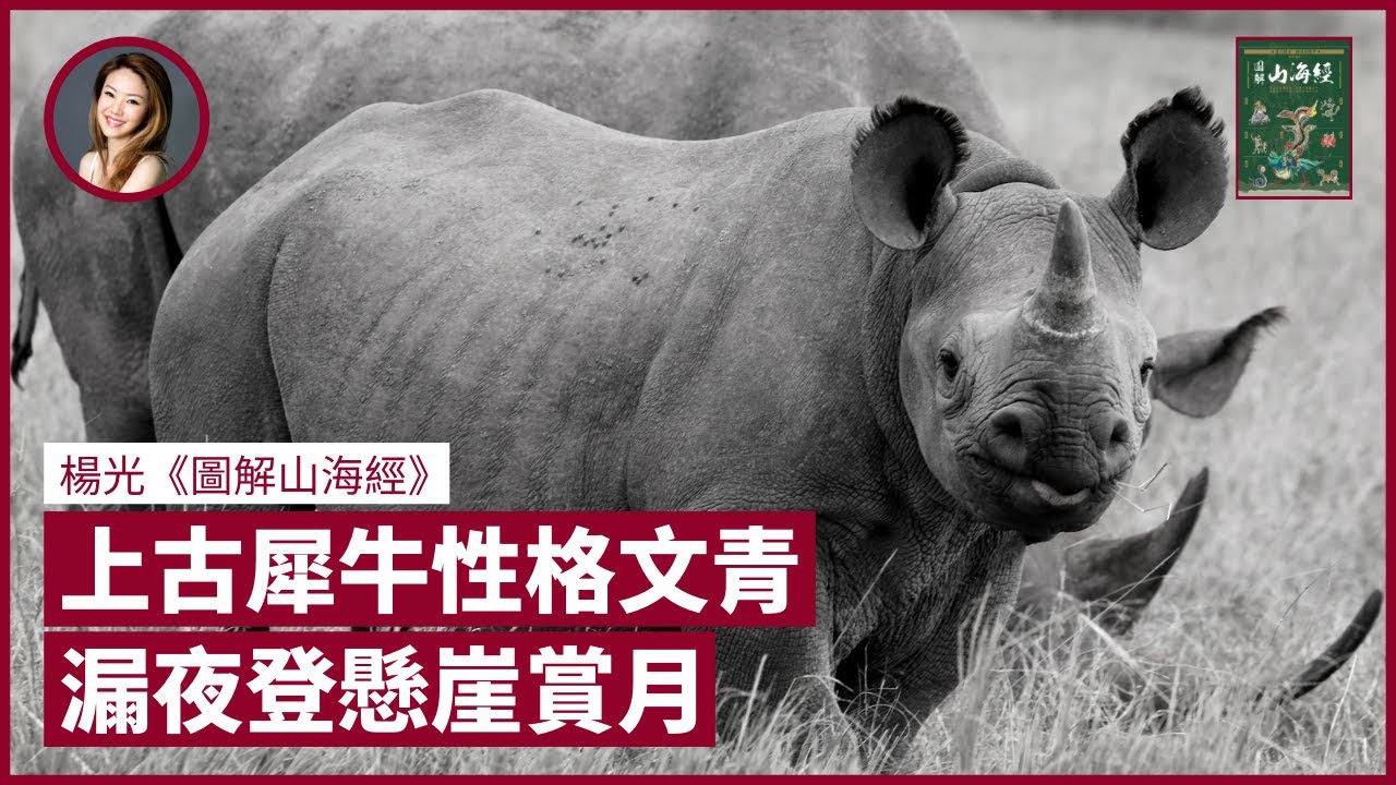 上古犀牛性格文青漏夜登懸崖賞月秦始王長生燈靠娃娃魚油膏鳳凰身上有八象五德蔥聾肥遺象徵天然災禍 張寶華 好書一讀再讀