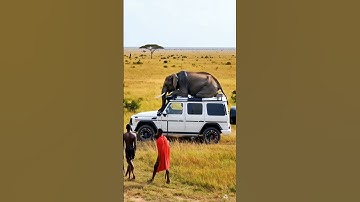 Thumbnail of The power of the Mercedes G Wagon #Mercedes #GWagon #MercedesGWagon