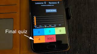Completing Wanikani After 2.5 years screenshot 1