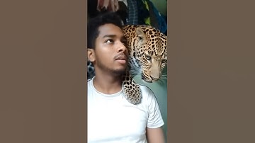 tutorial leopard leap felte ☠️🔥 #leopard #tutorial #filter #moneylove