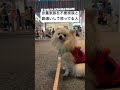 扶養家族を不要家族と勘違いして怒っている人