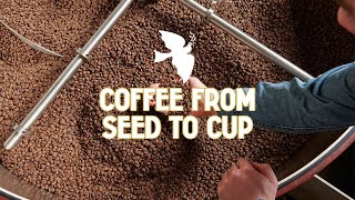 screenshot of the youtube video