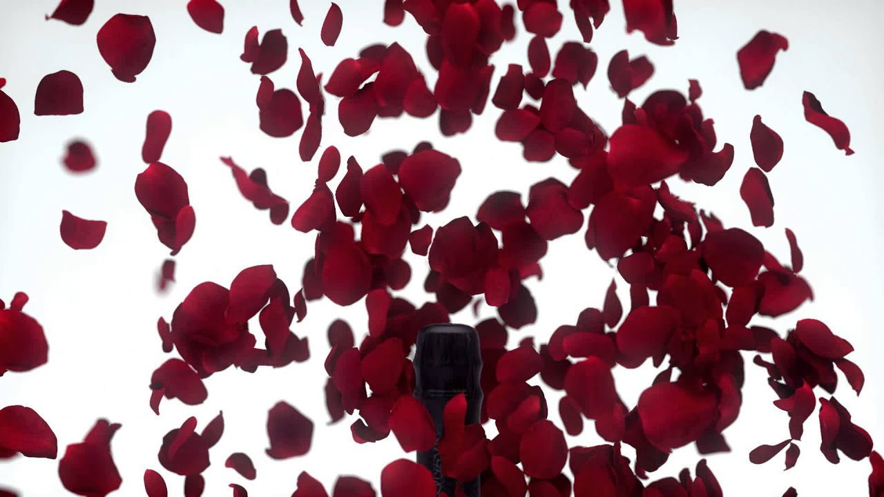Regalices Rosa Rosa Regale 2015 - YouTube