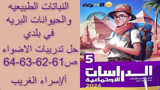 دراسات للصف الخامس ترم اول 2024حل تدريبات الدرس 5( النباتات الطبيعيه والحيوانات البريه )ص61-62-63-64