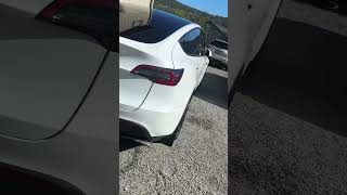 Fresh detail on Tesla model y #tesla #detailing