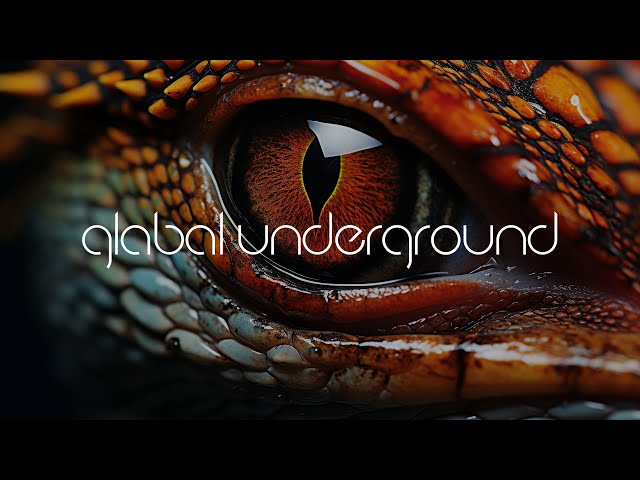 Evolution - Crocodile Man (Original Mix) 2001