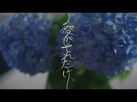 the chef cooks me 「愛がそれだけ feat. 原田郁子」- Music Video -