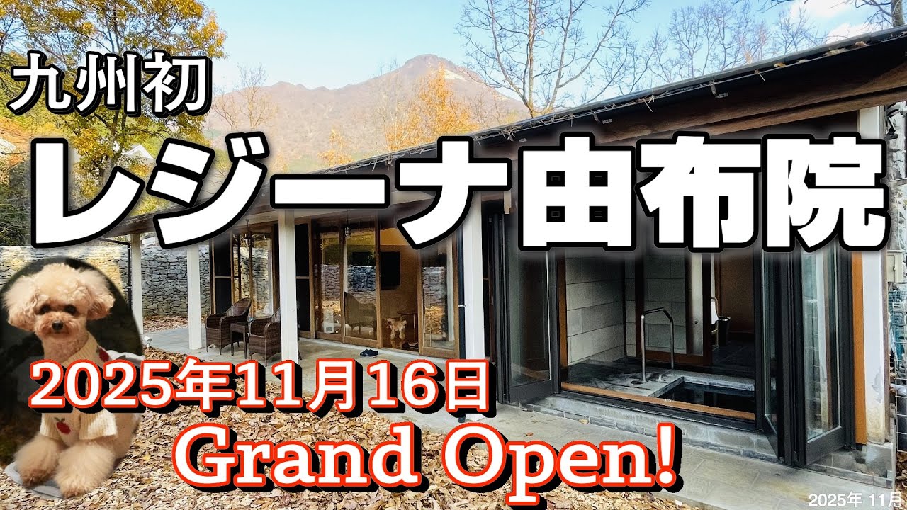 【レジーナ由布院誕生! 🐶贅沢空間で愛犬と温泉•グルメを満喫】チェックイン前の貸切温泉でスッキリ♨️