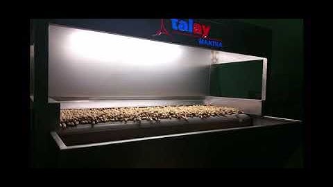 Peanut in shell Roasting Process in Spain