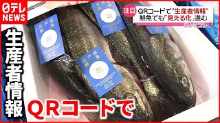 【見える化】「私が釣りました」魚にQRコードで“生産者情報”