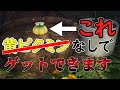 【ゆっくり実況】実はここ黄ピクミンじゃなくても取れるんです【ピクミン４　体験版】#１