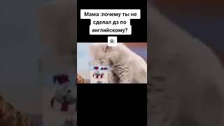 Я русский