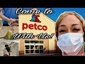 What new pet should i get  come to petco with us  shopping vlog