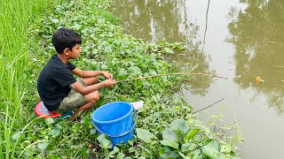 Amazing Fishing Video 2023 | Little Boy Fishing With Hook || Catching Big Catfish By Hook (part-244)