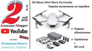 Mavic Mini первое включение screenshot 2