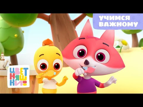 Цветняшки – Учимся