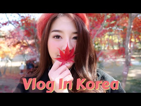 VLOG KOREA เที่ยวใบไม้เปลี่ยนสีครั้งแรก ฟินมาก!! | PATCY.PATCY