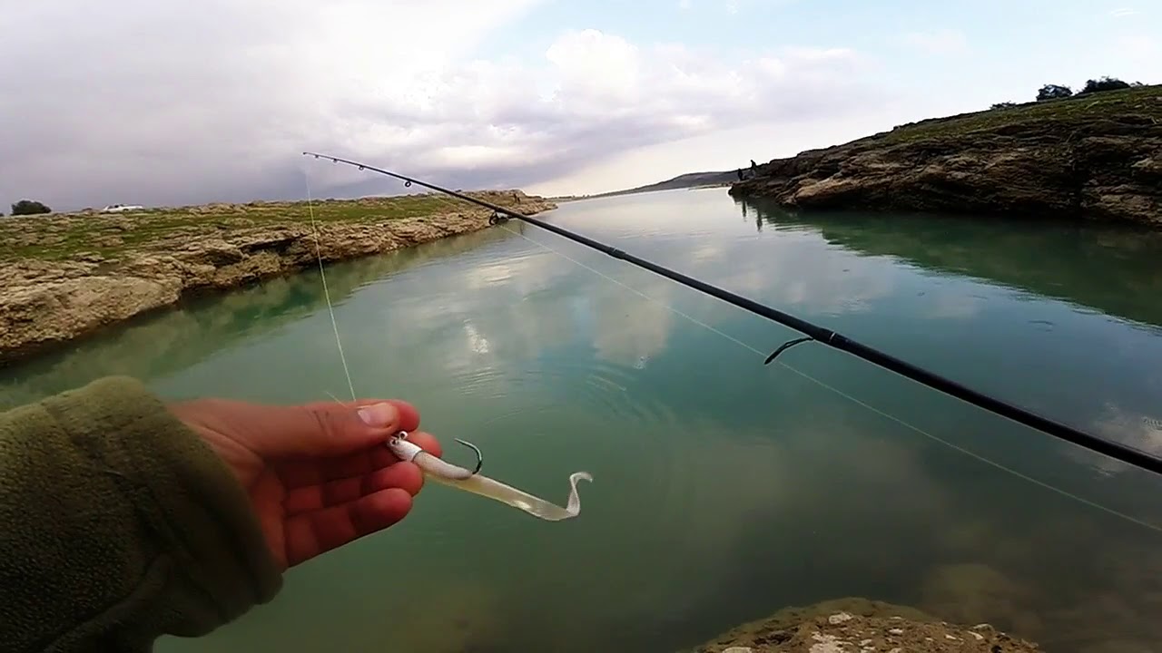 LEVREK KATİLİ  REDGİLL  V8  SİLVER PEARLY 13 CM 11 GR SİLİKONUN TANITIM VİDOSU İYİ SEYİRLER