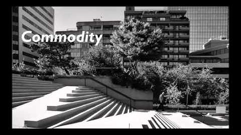 ARCH 1311 Lecture 7 - Video #1: The Architect