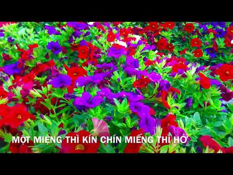 Video Tục Ngữ-Thành Ngữ- Ca Dao Đáng Ghi Nhớ # 3 l Jessica M... - YouTube
