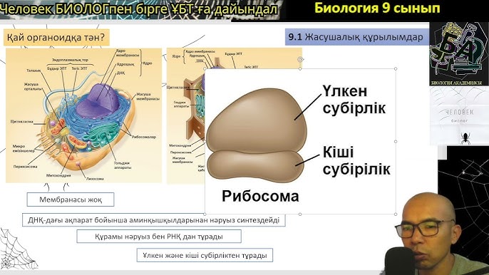 қарт кеңестік жалаңаш әйелдер Ересек секс