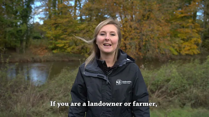 Net Gain Staffordshire: our new Biodiversity Net Gain website