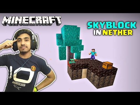 MINECRAFT SKYBLOCK BUT IT&rsquo;S IN THE NETHER