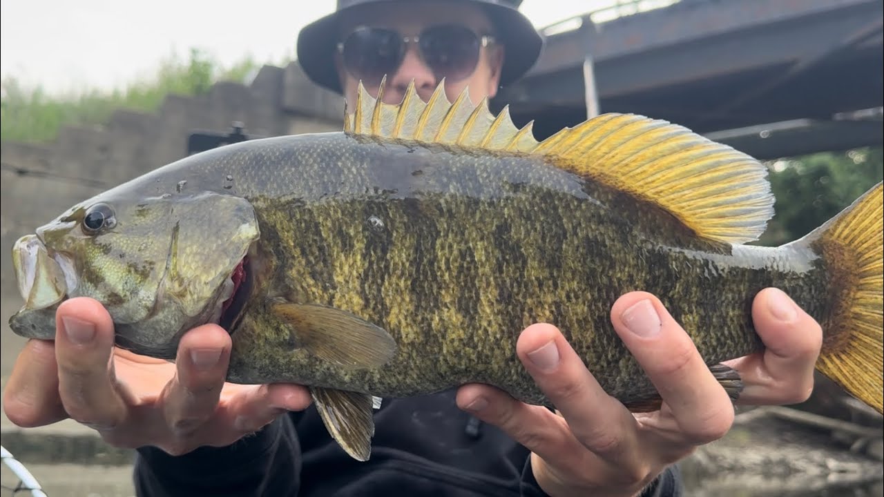 Bass Fishing In The City!