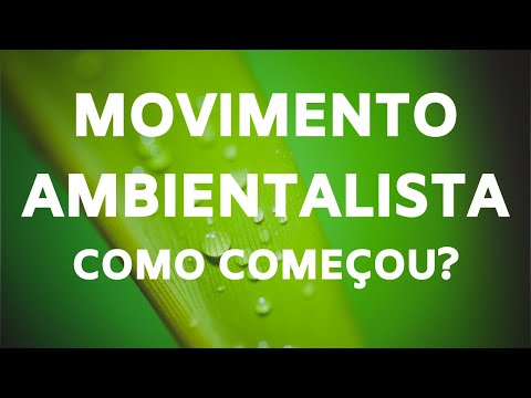 Vídeo: Por que o movimento ambientalista começou?