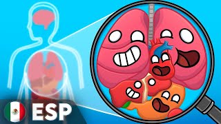 El Cuerpo Humano En Pocas Palabras