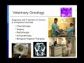 Veterinary Radiotherapy