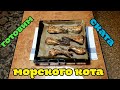 Готовим морского кота (ската)