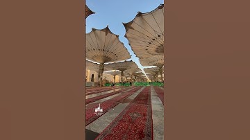 ‏ولنا في كل جمعة ثلاث رحمات صلاة على النبيّ ﷺ وسورة الكهف وكنز ينتظرنا قبل المغيب لدعوة مستجابة