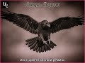 Линда Ворона инструментальный ремикс 