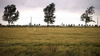 Suara Angin  Efek Suara Angin  Wind