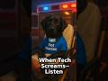 When a “Glitch” Isn’t: The Smart Collar Alert That Saved My Dog