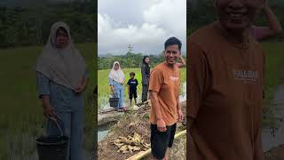 Ngala eceng alias genjer