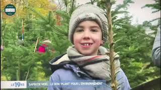 Couper Son Sapin Soi-Même Au Château De Ronno Reportage M6 Immersif