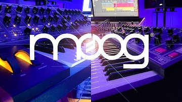 Moog sub 37 and matriarch