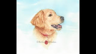 retriever golden paint realistic watercolor puppy