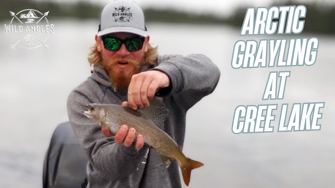 Нахлыстовая рыбалка на арктического хариуса в Северном Саскачеване | Wild Angels