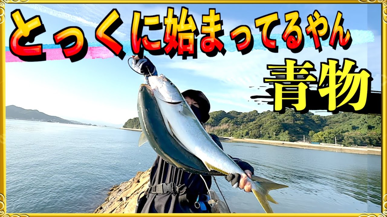 第372話【ショアジギング】愛媛の海は青物の秋がとっくに始まっていた!の巻